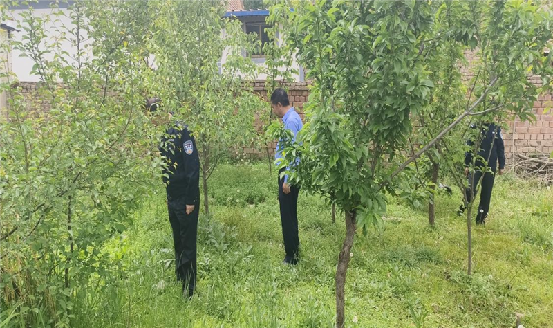 图片1_副本4.png